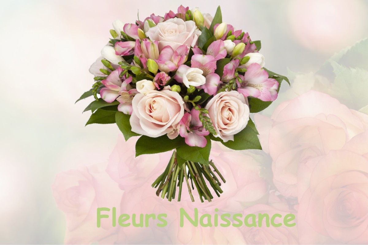 fleurs naissance TIGY